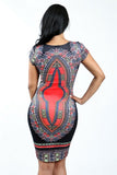 Print Bodycon Dress (Plus Sizes Available)