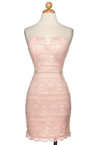 Blush Sleeveless Lace Mini Dress